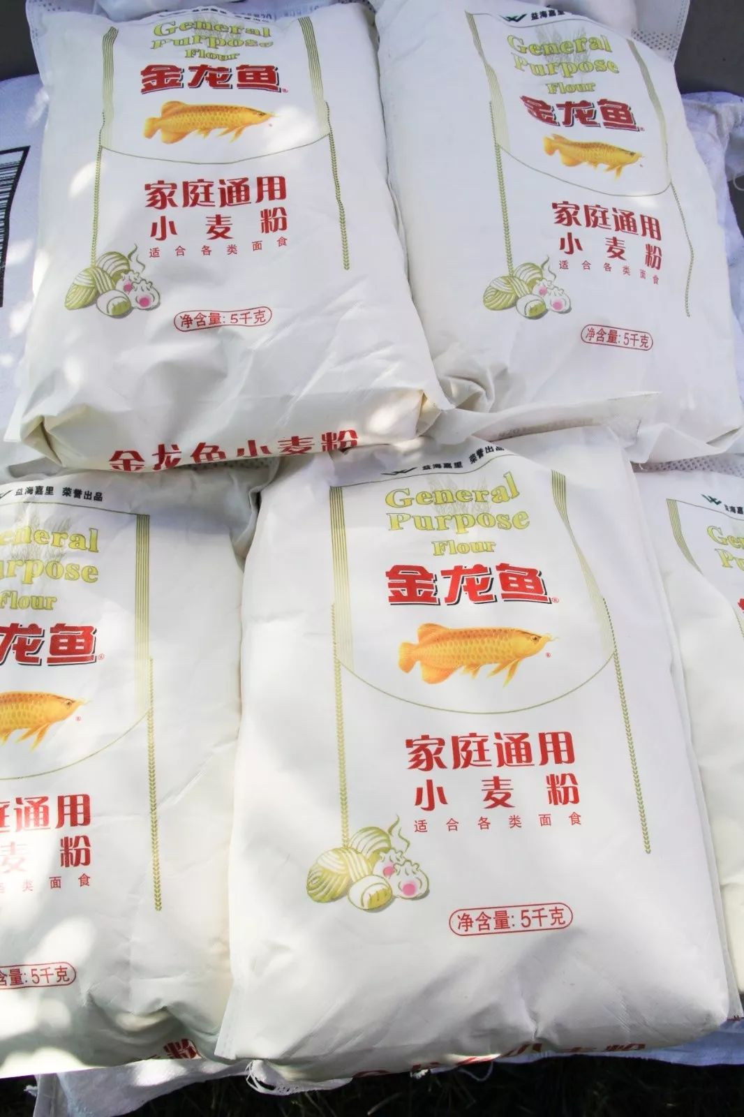 PG电子(中国)官方网站